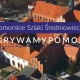 Tczew - Poznaj Pomorskie Szlaki Średniowiecza