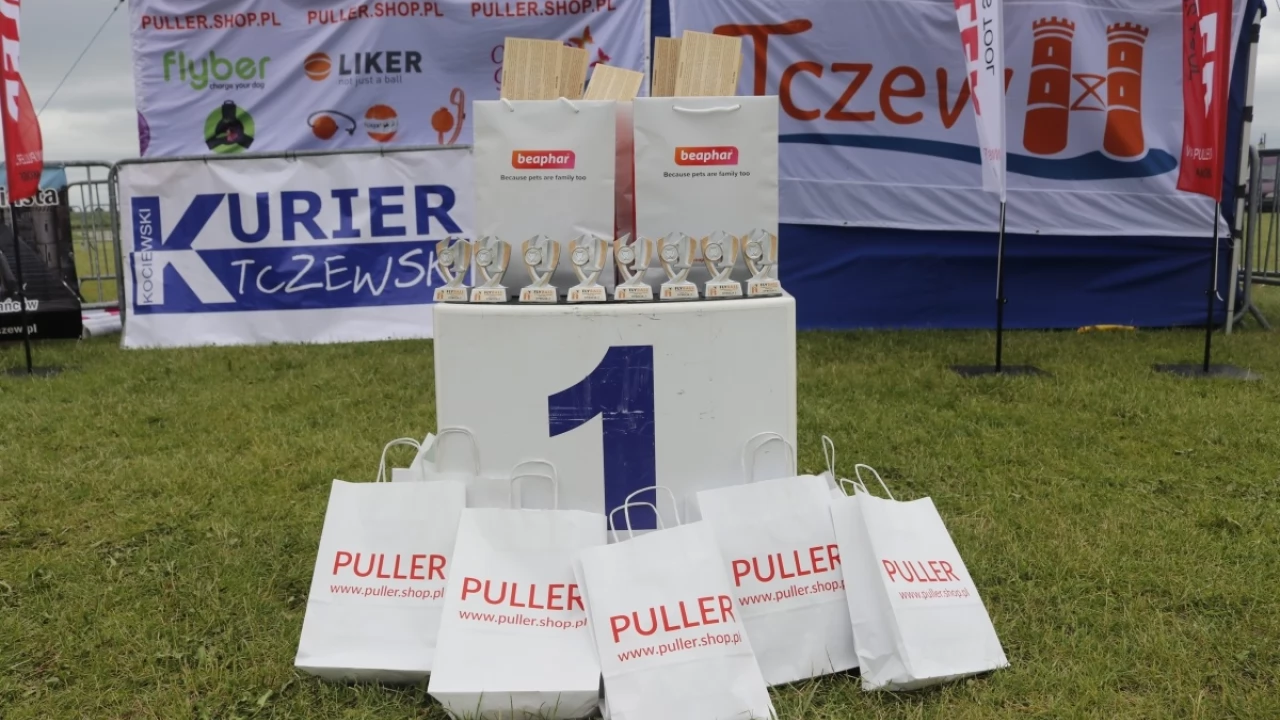 Tczew - Zawody Flyball, czyli wyścig psich sztafet