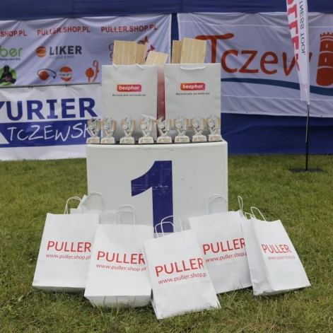 Tczew - Zawody Flyball, czyli wyścig psich sztafet
