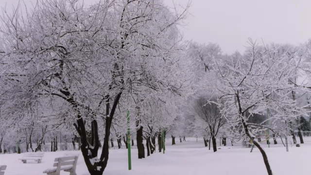 Tczew - Tęsknisz za prawdziwą zimą? Zobacz ją na zdjęciach Skarbnicy
