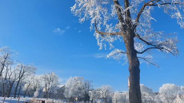 Tczew - Nie było chętnych na kupno dworku