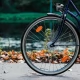 Tczew - "Ogólnopolska Gra Rowerowa". Weź udział w nowej zabawie dla rowerzystów