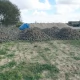 Tczew - Kostka z ronda dostanie drugie życie