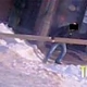 Tczew - Zajęcie w sam raz na ferie! A może coś ukradniemy?