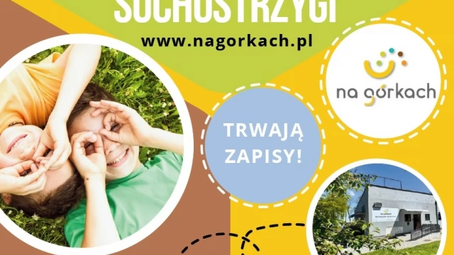 Tczew - NAUCZYCIEL WYCHOWANIA PRZEDSZKOLNEGO