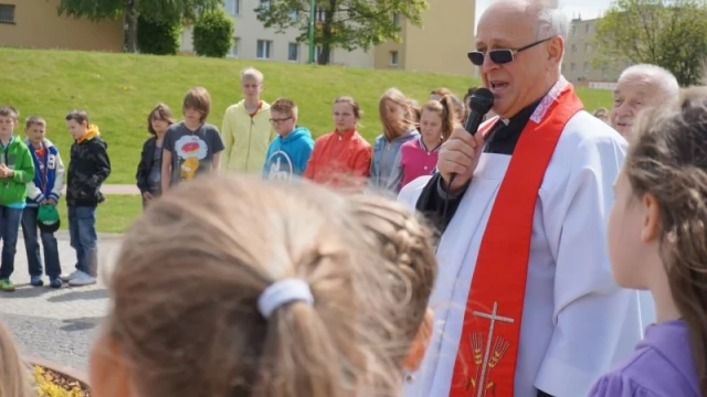 Tczew - W Tczewie rośnie platan dedykowany Janowi Pawłowi II
