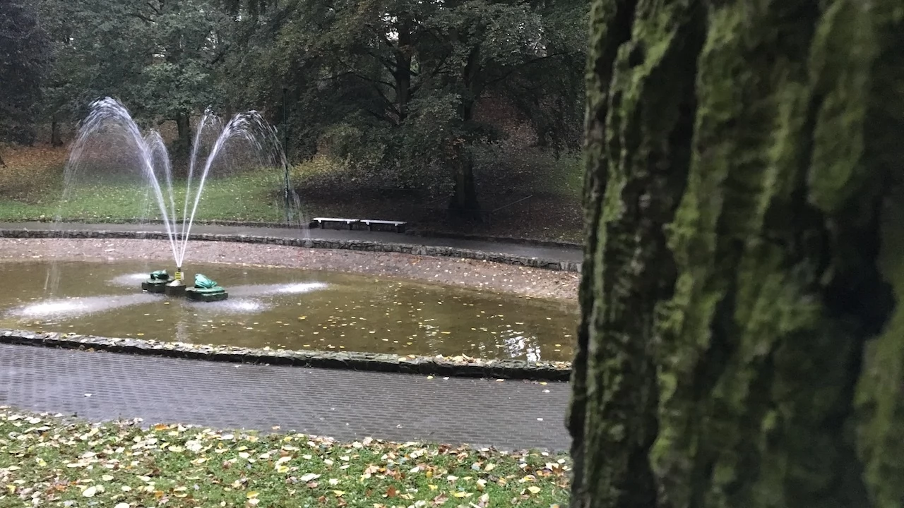 Tczew - Park Miejski jesienią z dnia 7.10.2016