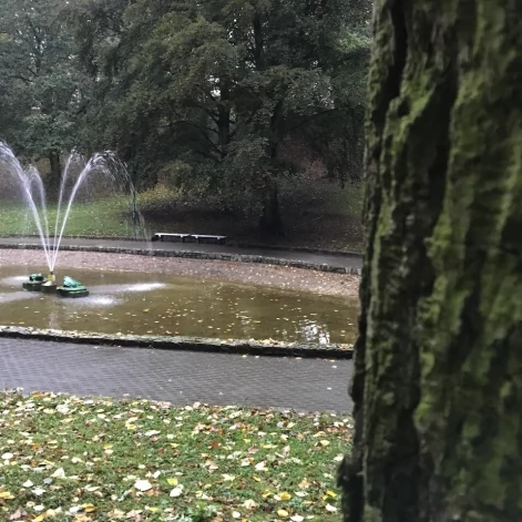 Tczew - Park Miejski jesienią z dnia 7.10.2016