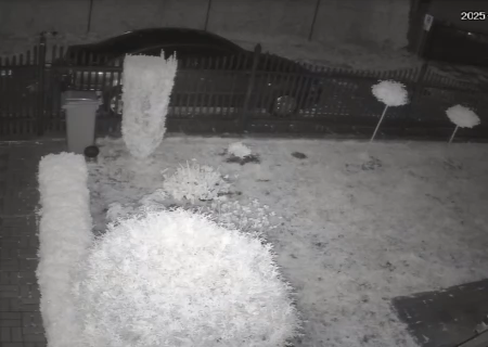 Tczew - Kto rozcina worki ze śmieciami?