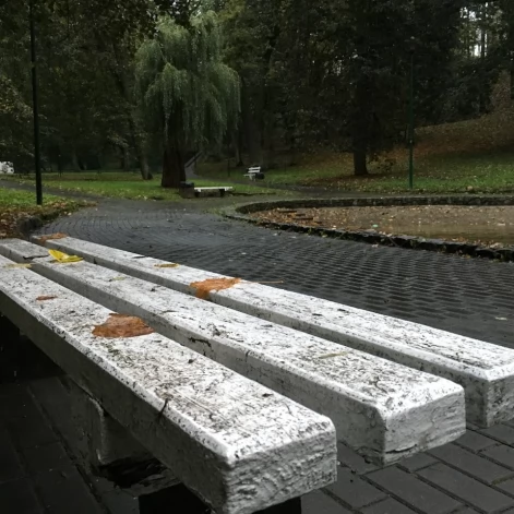 Tczew - Park Miejski jesienią z dnia 7.10.2016