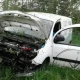 Tczew - Bus wjechał w drzewo. Kierowcę uwalniali strażacy