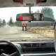 Tczew - Małżeństwo z Tczewa mistrzami K1 WRC Rallyland