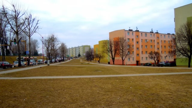 Tczew - Kosze na śmieci i psie odchody... w czym tkwi problem?