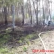Tczew - Pożar lasu w gminie Morzeszczyn