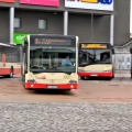 Tczew - Dwie firmy chcą wozić mieszkańców Tczewa