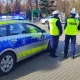 Tczew - 7 kolizji w pierwsze dni listopada - w tym zderzenie z sarną, dzikiem oraz cielakiem