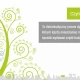 Tczew - Budżet obywatelski 2015: lista projektów zakwalifikowanych - głosowanie od 6 marca