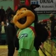 Tczew - "Kociewskie diabły" trenują dziś w Tczewie