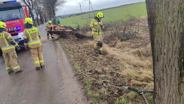 Tczew - Połamane drzewa, odbiorcy bez prądu - wichura w powiecie tczewskim