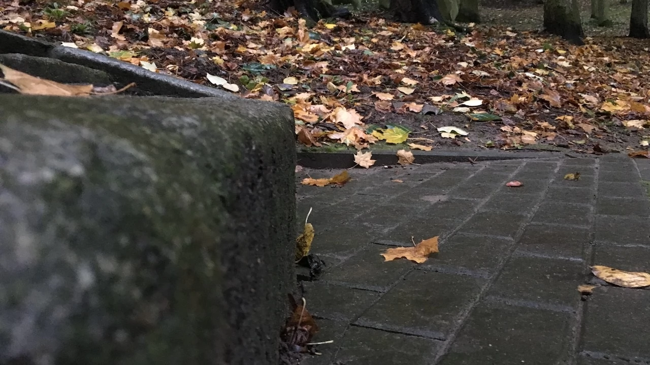 Tczew - Park Miejski jesienią z dnia 7.10.2016