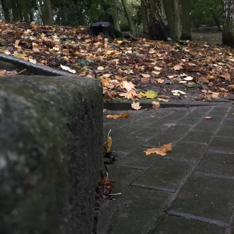 Tczew - Park Miejski jesienią z dnia 7.10.2016