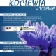 Tczew - Światowy Dzień Kociewia - co w Tczewie?