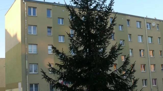Tczew - 9-metrowa choinka i święty Mikołaj na Suchostrzygach