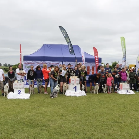 Tczew - Zawody Flyball, czyli wyścig psich sztafet