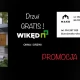 Tczew - Mako Autoryzowany Salon Okien i Drzwi WIKĘD