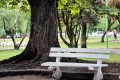 Tczew - Mieszkanie za Park Kopernika. Finał rozmów z parafią ewangelicką