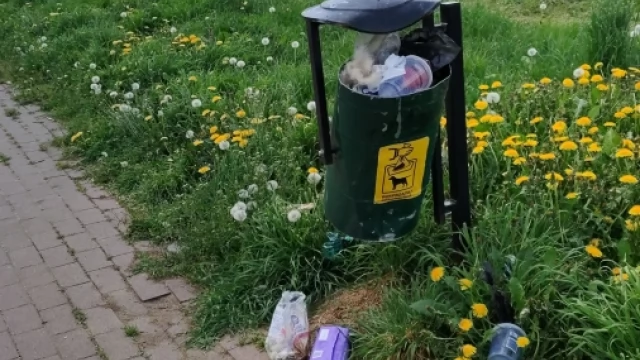 Tczew - Miasto bez śmietników?