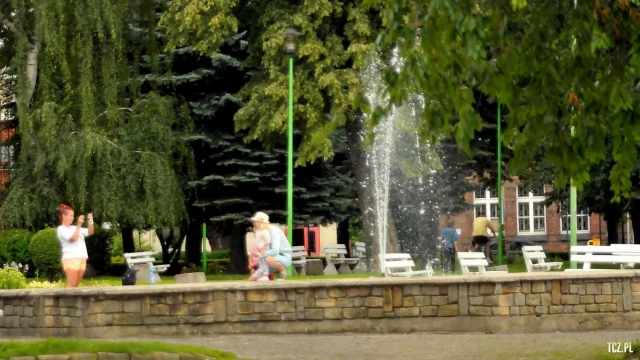 Tczew - Lapidarium w Parku Kopernika?