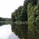 Tczew - Pod Tczewem żurawie będą miały swój raj. Zrewitalizują dla nich leśne stawy