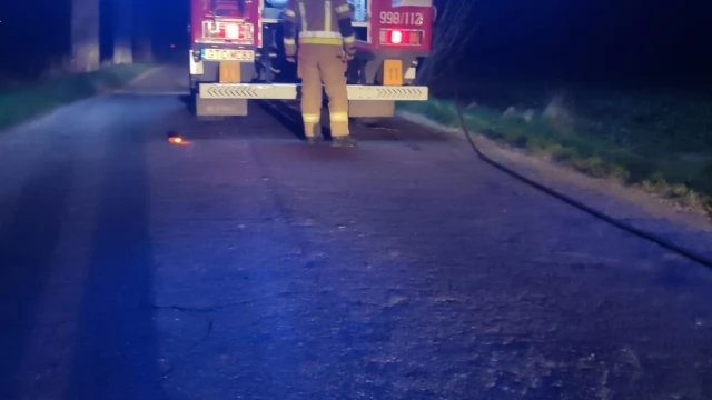 Tczew - Turze - Szczerbięcin. Auto uderzyło w drzewo i spłonęło