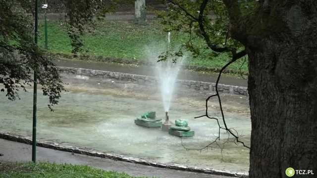 Tczew - Zamiast rozbudowy basenu rewitalizacja trzech parków?