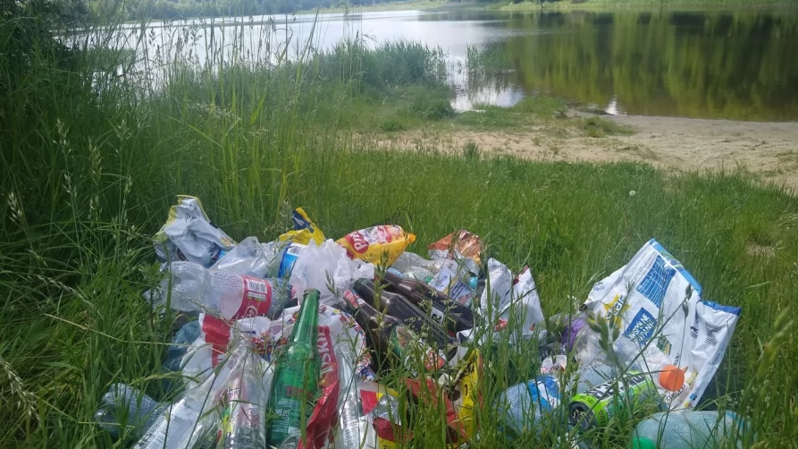 Śmieci nad jeziorem Rokickim