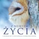 Tczew - Kino Konesera. Z nurtem życia