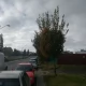 Tczew - Czy os. Kolejarz ma szansę ma miejsce rekreacji?