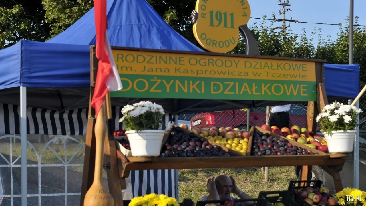 Tczew - Dożynki w Swarożynie