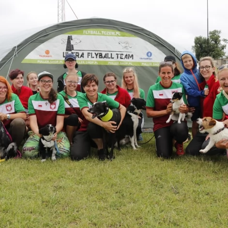 Tczew - Zawody Flyball, czyli wyścig psich sztafet
