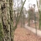 Tczew - Rozmowy o wizji rozwoju parku