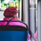 Tczew - Tłok w autobusach
