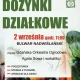 Tczew - Działkowe święto - 2 września na bulwarze. Poczęstunek i atrakcje dla dzieci