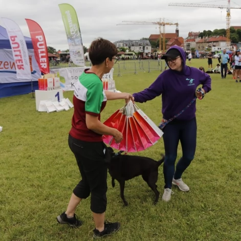 Tczew - Zawody Flyball, czyli wyścig psich sztafet