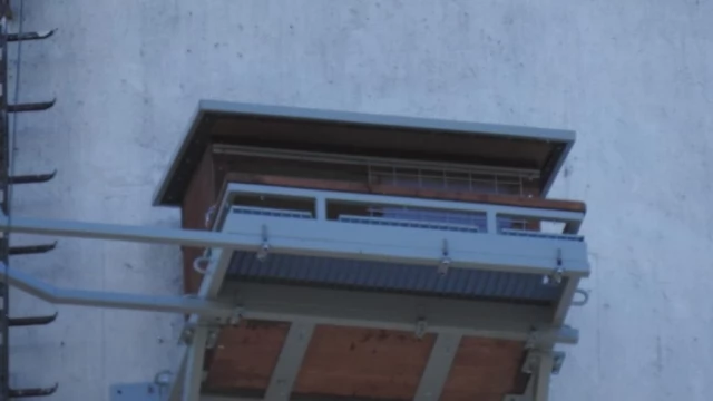 Tczew - Te niezwykle rzadkie ptaki żyją pod Tczewem. Są pierwsze jaja w gnieździe!