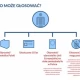 Tczew - Kompendium wiedzy o wyborach samorządowych