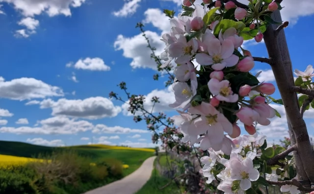 Tczew - Rusza konkurs Piękna Wieś Pomorska 2026. Do wygrania jest nawet 30 tysięcy złotych