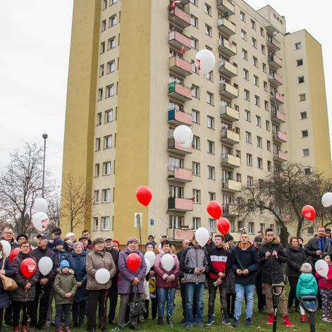Tczew - Dąb na stulecie niepodległości