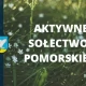 Tczew - Gmina Gniew aplikuje o środki w ramach Aktywnego Sołectwa Pomorskiego