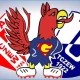 Tczew - Wszyscy na gryfa!
